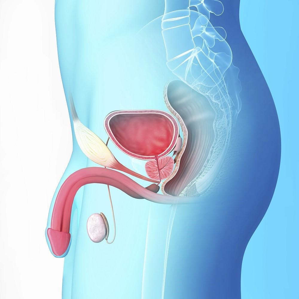 Pelvic Point Centro